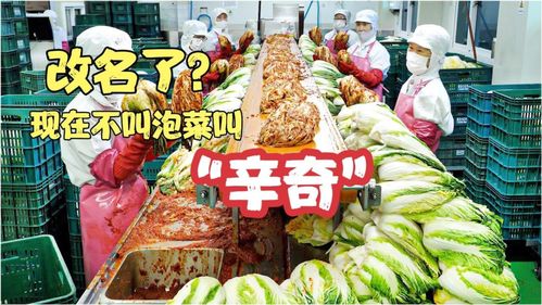 雨軒齋清真食品 堅守“辛奇”品質，踐行HACCP最高衛生標準